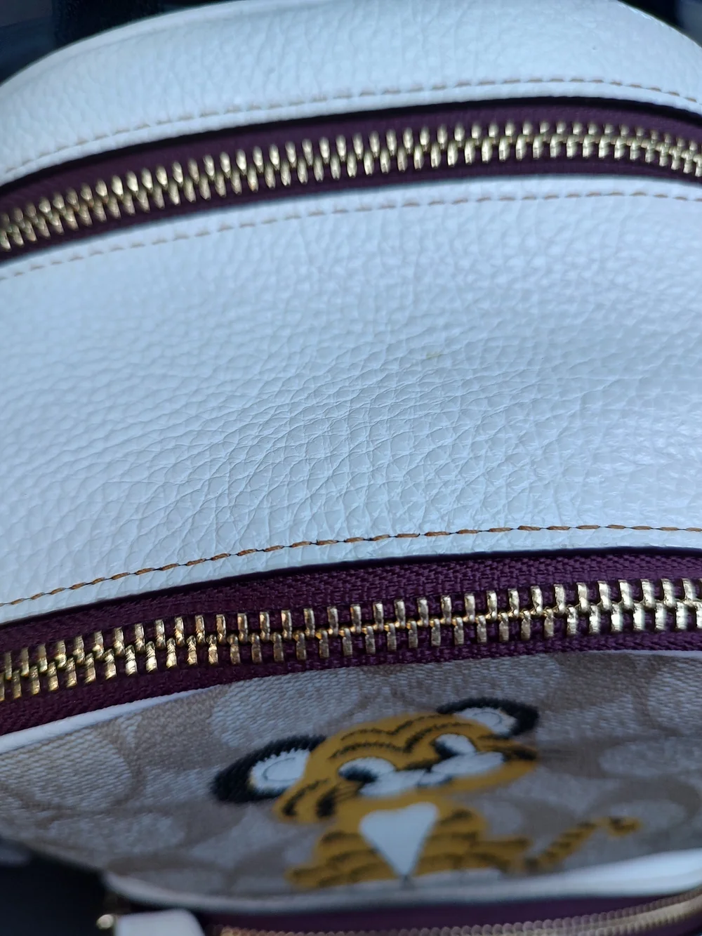 Coach Beige Signature Tiger Backpack